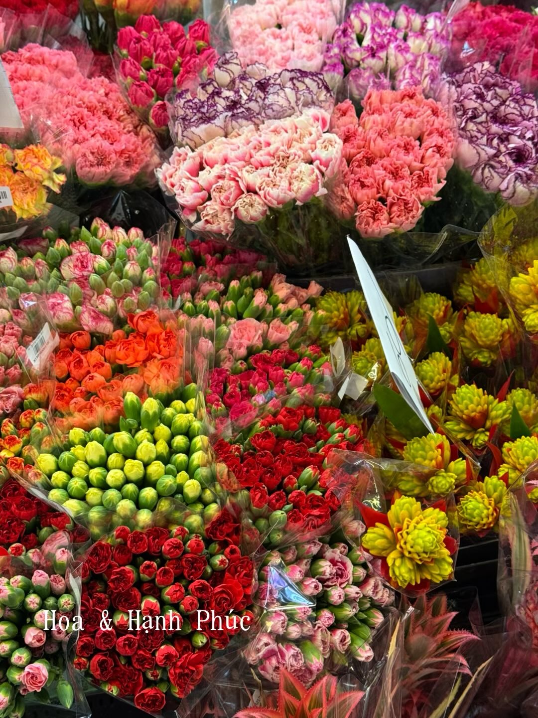 Flower 1