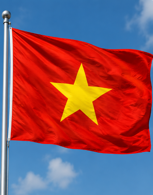 Branch VN