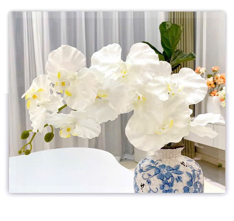 Hoa lan hồ điệp giả cao cấp