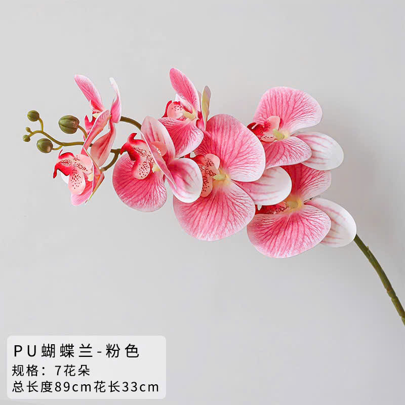 Hoa lan hồ điệp giả cao cấp